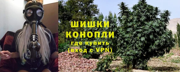 ПСИЛОЦИБИНОВЫЕ ГРИБЫ Осинники