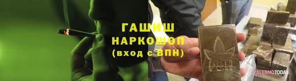 ПСИЛОЦИБИНОВЫЕ ГРИБЫ Осинники