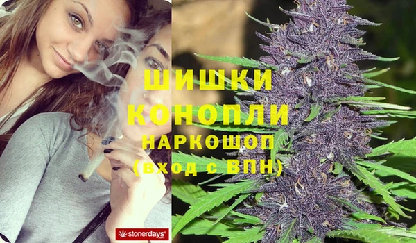 спайс Пересвет
