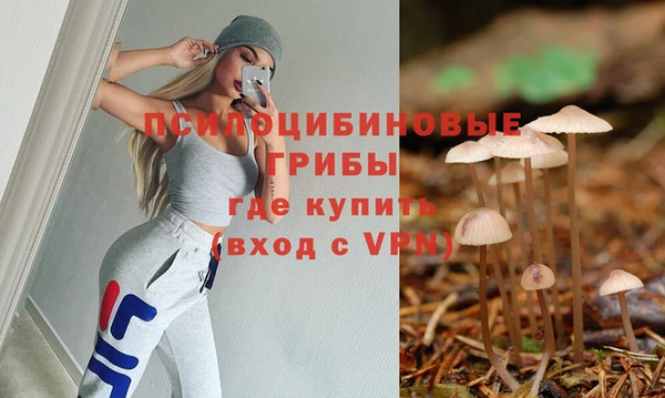 ПСИЛОЦИБИНОВЫЕ ГРИБЫ Осинники