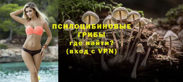 тгк Осташков