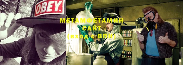 ПСИЛОЦИБИНОВЫЕ ГРИБЫ Осинники